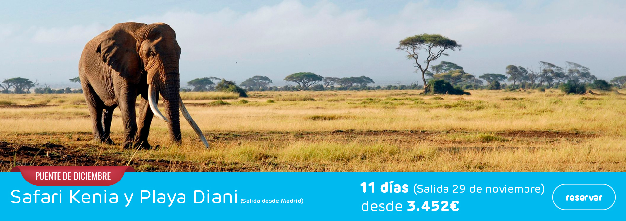 Ofertas de viajes a Kenia, Puente de Diciembre 2024